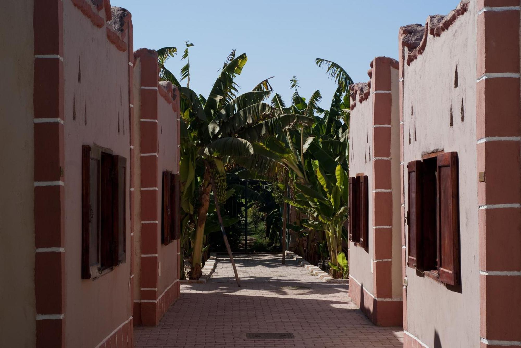 Al Baeirat Hotel Luksor Exterior foto